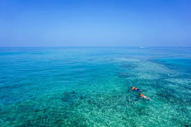 Maldives snorkeling - Maldives activities