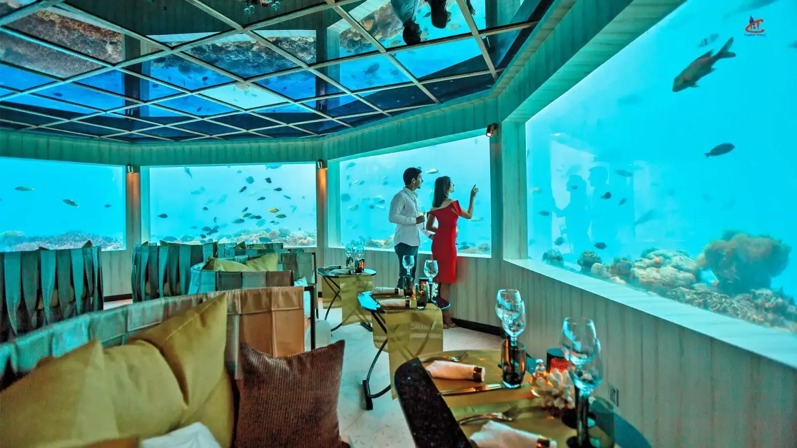 OZEN LIFE MAADHOO Maldives Under Water Restaurant