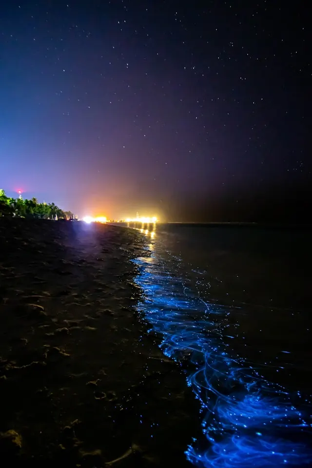 hushaan fromtinyisles 7hB1sVEZ04k unsplash - Maldives activities