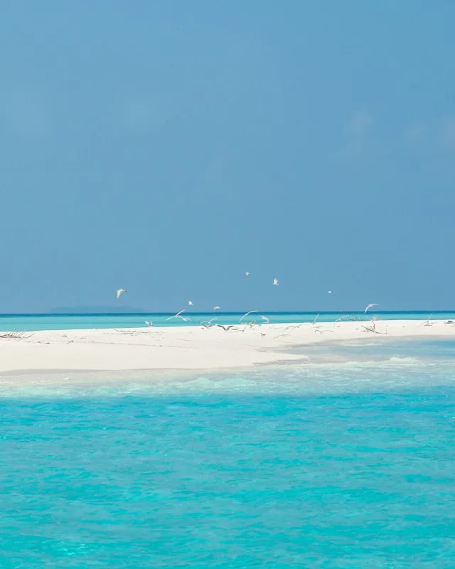 maldives sandbank - Maldives activities