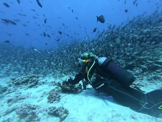 Fuvahmulah Atoll Maldives