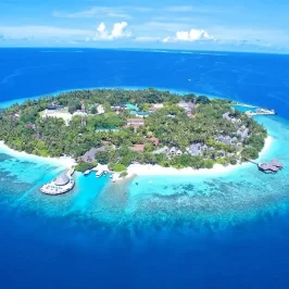 Bandos Island Maldives 1